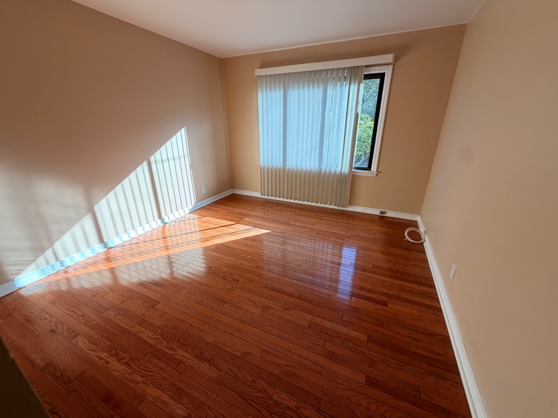 Bedroom with hardwood floors and a large window