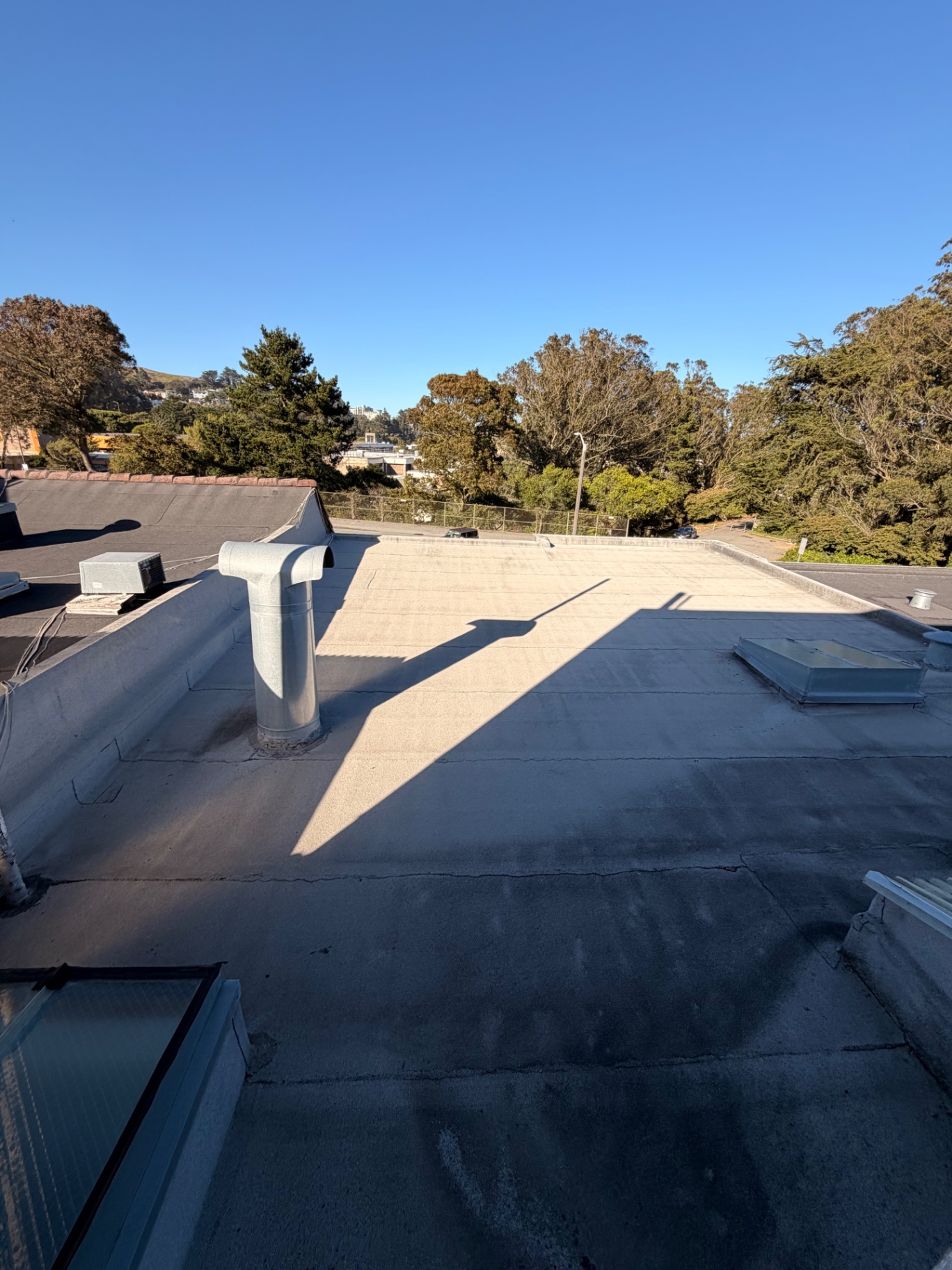 Flat roof deck with treetop views over the neighborhood
