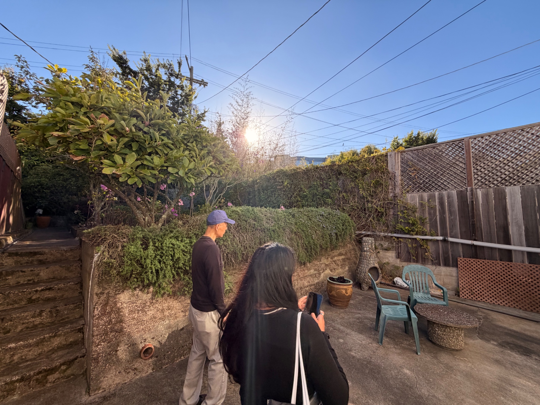 Sunny back patio with seating below a magnolia tree