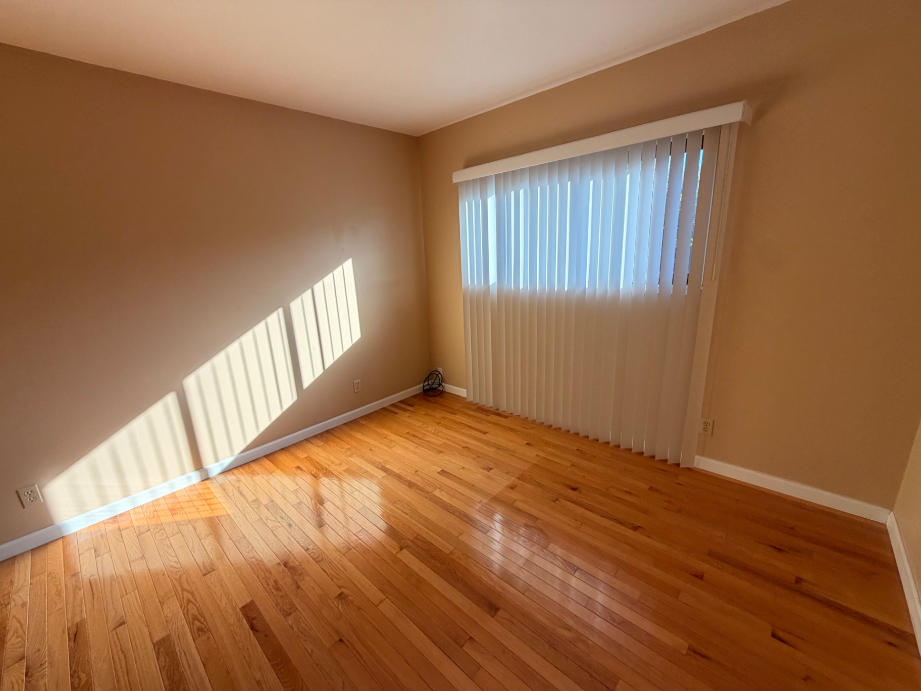 Bright room with vertical blinds and hardwood floors
